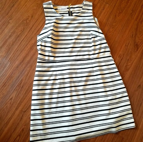 MAURICE'S size 2 - Picture 2 of 4